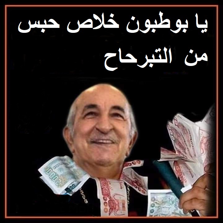 تبون يؤكد دعم الجزائر الثام لمبادرات التنمية في إفريقيا